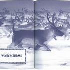 "WINTERSTÜRME" steht in einem verzierten Rahmen. Im Hintergrund eine Herde von Rentieren in Schneelandschaft.