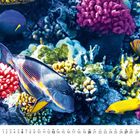Der Kalender zeigt den Monat Juni. Es gibt bunte Fische und Korallen in lebhaften Farben im Meer.