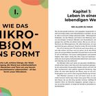 Kapitel 1: Leben in einer lebendigen Welt. 

Wie das Mikrobiom uns formt. Frische Luft, schöne Klänge, der Wald...