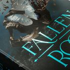 "FALLEN ROOK" in glänzender Schrift, darunter ein Totenkopf mit einem Schmetterling auf der Stirn und einem Aufkleber "AB 18".