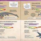 "Funfact! Omphalosaurus hatte ein sogenanntes 'Knackmaul'." Diese Illustration beschreibt Meeresreptilien der Trias.