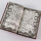 Illustration einer Karte mit Beschriftungen: Königreich Vinevridth, Schlundmeer, Azzam-Grotte, Azurmeer. Verziert mit Schwert und Schlange.