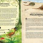 Zwei Textpassagen über Evolutionsstadien: "Harte Schale" auf der linken Seite und "Pfeilschwanzkrebs" rechts. Links ein Dinosaurier und ein Skorpion im Wald, rechts Krebs am Strand.