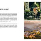 Texte: NARA, STADT DER TAUSEND HIRSCHE, sowie eine Beschreibung des Aufenthalts in Nara. Links Text, rechts zwei Fotos.