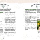Ringelblumensalbe: Anleitung zur Herstellung mit Zutaten wie Ringelblumenblüten, Öl und Bienenwachs. Text und kleine Illustrationen.