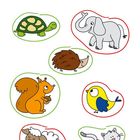 Text "LÖSUNG:" Tiere umkreist; grün: Schildkröte, Igel, Katze, Eichhörnchen. Rot: Elefant, Vogel, Schaf.