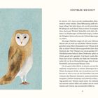 „Japanische Symbole für Wohlstand“ - Eine Illustration mit Kranich, Katze, Fuchsmaske, Marderhund und Schildkröte.