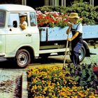 Nummernschild: KM 51-27. Zwei Menschen in Gärtnerkleidung neben einem weißen Lieferwagen voller Blumen.