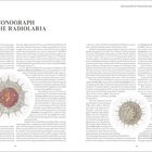 "MONOGRAPH ON THE RADIOLARIA" steht oben. Darunter sind dichte Texte in zwei Spalten, begleitet von wissenschaftlichen Illustrationen runder Strukturen mit komplexen Mustern.
