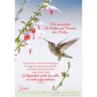 Oben rechts: „Wie wunderbar die Farben und Formen der Natur.“ Unten: ein Kolibri vor rosa-weißen Blüten.