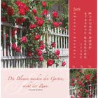 Juni-Kalender mit Wochenübersicht, rotes Design. Spruch: "Die Blumen machen den Garten, nicht der Zaun." Rosen an Zaun.