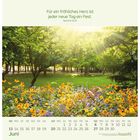 Text: "Für ein fröhliches Herz ist jeder neue Tag ein Fest. Sprüche 15,15". Darunter: Juni-Kalender, Blumenwiese im Sonnenlicht.