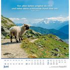 "Von allen Seiten umgibst du mich und hältst deine schützende Hand über mir. Psalm 139,5." Schaf auf Bergpfad, Juni-Kalenderblatt.