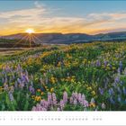 Kalender mit Monat Juni. Blühende Wiese mit lila und gelben Blumen im Vordergrund, Sonnenuntergang hinter Hügeln.
