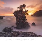 Kalenderblatt für Juni mit einem eindrucksvollen Landschaftsfoto: Felsen und Bäume im Meer bei Sonnenuntergang.