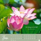 Text: "Am Anfang war die Kraft." - Paula Modersohn-Becker. Kalendereinteilung für Juni. Zwei rosa Lotusblumen, eine Knospe, grüne Blätter.