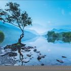 Text: "06 | Juni." Darstellung: Einsamer Baum an ruhigem See, umgeben von Bergen und blauem Himmel.