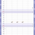 Kalenderseite mit Juni, Wochentagen und Daten. Hintergrund: Muscheln. Illustrationen: Liegestühle, Vögel.