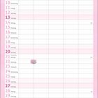 Kalenderblatt für Juni. "Let's have a Tea-for-you-Party!" Illustration mit Mädchen, Libelle, Frosch und Entchen auf Seerosen.