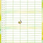 Juni Kalender mit grünen Tabellen. "Dein Schutzengel liebt jeden einzelnen Sommertag..." Engel und farbige Illustration.