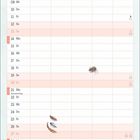 Kalender für Juni, mit wöchentlichen Spalten und Datumsangaben. Illustration einer Maus unten, Federn und einer Eule.