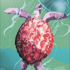 „06“ und Kalendertage unten. Illustration einer Schildkröte im Wasser mit einer Qualle und Fisch.