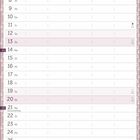 Kalender für Juni mit Wochenübersicht und Platz für Notizen. Feiertage und Mondphasen sind ebenfalls vermerkt.