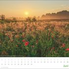 Kalenderblatt mit Datum: 21.6. Sommeranfang. Juni. Sonnenuntergang über Mohnblumenfeld.