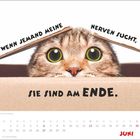 „Wenn jemand meine Nerven sucht, sie sind am Ende.“ Eine Katze blickt aus einem Karton. Unten ist ein Kalender für Juni.