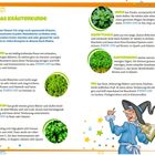 "Manias Kräuterkunde. Willkommen, kleine Hexen! Rosmarin, Thymian, Basilikum, Petersilie, Minze, Schnittlauch, Gartenkresse, Dill. Eine Hexe mit Buch und Stift unten rechts."