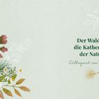 "Der Wald ist die Kathedrale der Natur. Hildegard von Bingen." Illustration blühender Zweige und bunter Blätter.