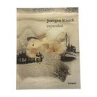 Text: "Juergen Staack expanded" und "HIRMER". Stimmungsvolle, abstrakte Kunst mit strukturierten, erdigen Tönen.