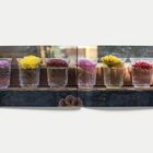 Sechs Gläser mit Wasser, in jedem eine farbige Blüte: Lila, Gelb, Rot und Pink auf einer Fensterbank.