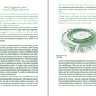 Seite 10: "Die Jungsteinzeit – Sonnenobservatorien" mit Text über Goseck. Zeichnung: Kreisgrabenanlage von Goseck auf Seite 11.