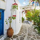 Kalender: Juni 2021. Idylle mit weißer Gasse, blauen Türen und blühenden Bougainvillea.