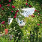 "6 2021" steht groß unten links. Ein bunter Garten mit einem Torbogen voller roter Rosen und einem Gewächshaus im Hintergrund.
