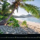 "6 2023" mit Kalendertagen darunter. Tropischer Strand mit Palmen, grünem Laub, blauem Meer und Bergen im Hintergrund.