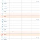 Kalender für Juni 2027. Oben und unten floral gemustert. Wochentage und -nummern aufgelistet.