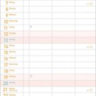Kalenderblatt für Juni 2027 mit Wochentagen und Daten; tropisches Kokosnuss-Design oben und unten.