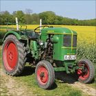 "DEUTZ" auf grünem Traktor, Nummernschild "A BU 411", im Hintergrund gelbe Blumen und Bäume.