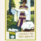 „Herrlich! Mit Vigor gekocht“ steht in der Illustration. Eine Frau hängt weiße Wäsche auf.