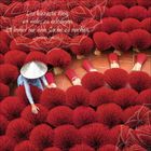 „Der kürzeste Weg, um vieles zu erledigen, ist immer nur eine Sache zu machen.“ - Samuel Smiles. Eine Person arrangiert rote Bündel.