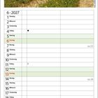 FLEXIBILITÄT: Das Leben birgt viele Umwege in sich. Die Kunst besteht darin, dabei die Landschaft zu bewundern. Juni 2027.