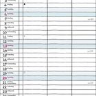 Tabelle für Juni 2027 mit Wochen- und Feiertagen. Dekorative Blumen und handgeschriebener Schriftzug "Juni" oben.