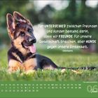 Zitat über Unterschiede zwischen Freunden und Hunden, mit einem Schäferhundwelpen auf grünem Gras und Monatsübersicht Juni.