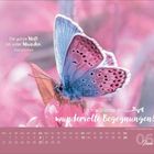 "Die ganze Welt ist voller Wunder." – Martin Luther. "Ich wünsche dir wundervolle Begegnungen!" Ein blauer Schmetterling auf rosa Blumen.