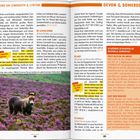 "Die besten Bohnen", "Hier kriegst du einen Vogel", "SCHÖNER SCHLAFEN IN DEVON & SOMERSET". Pony auf lila Heide.