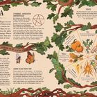 Eine Illustration über Wicca, eine moderne heidnische Religion. Texte thematisieren Rituale, Symbole, Feste und Glauben an Wiedergeburt.
