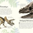 Triceratops, etwa 9 m lang, längster Schädel, ca. 2,5 m Nackenschild. Pachycephalosaurus, dicker Schädel, 60 cm, Fossilien.