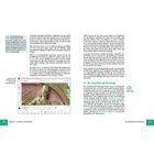 Einseitig beschriebene Buchseite über Auswahl- und Freistellwerkzeuge in grafischer Software, inklusive Anweisungen.